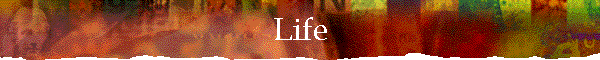 Life