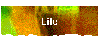 Life